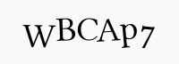 Captcha Bild