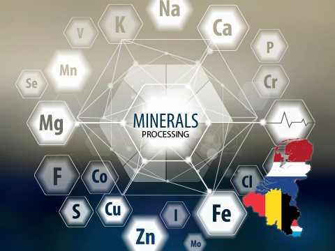 Teasing image of minerals symbols and Benelux flag