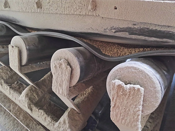 Material escaping at conveyor belt loading point