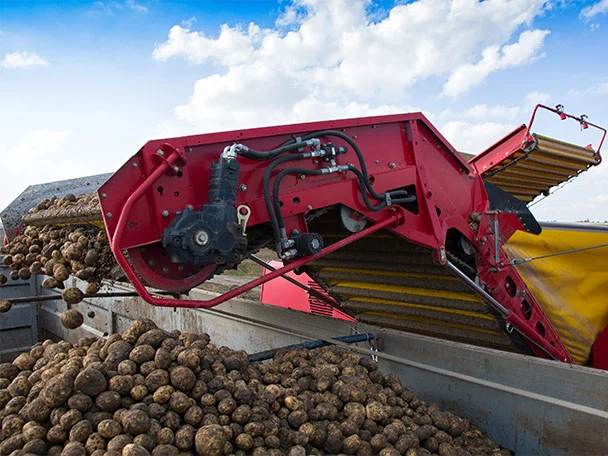 Machine discharging potatoes into a truck