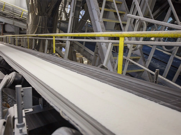 Conveyor belt in a chemical plant
