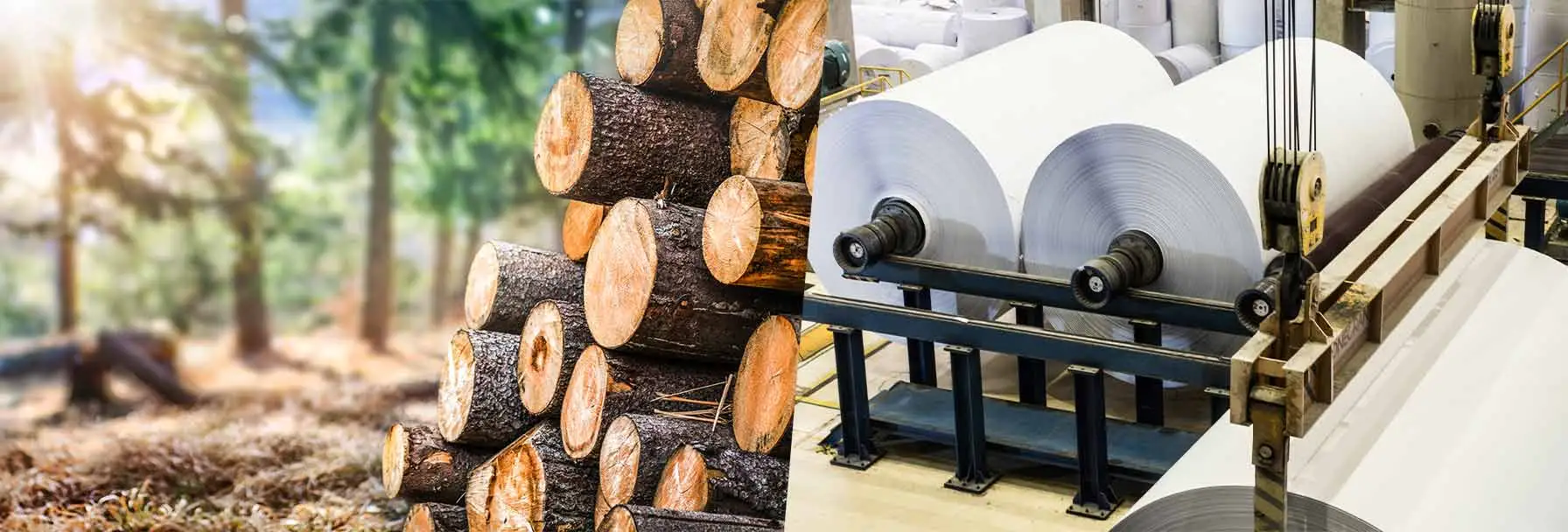 Paper and wood industry