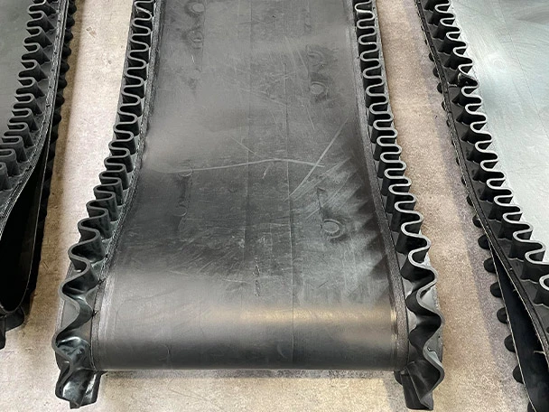 Feeding belt with sidewalls ready for dispatch